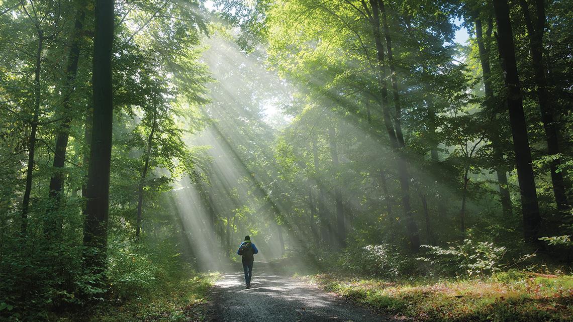Faith, Hope and Mental Health